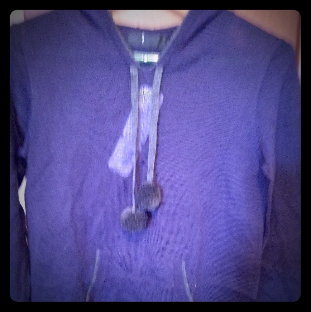 Sheer Hoodie